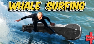 S14 EP 540 Whale Surfing