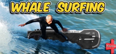 S14 EP 540 Whale Surfing