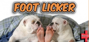 S12 EP 466 Foot Licker