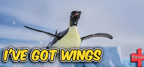 S16 EP 615 I've Got Wings